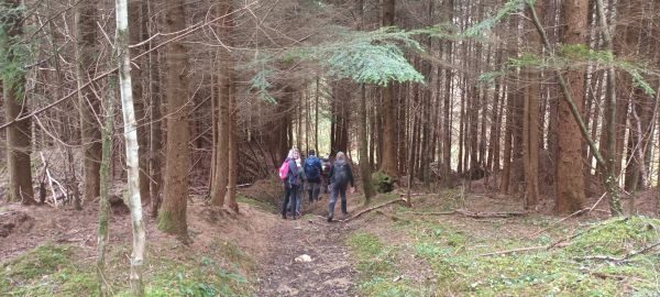 Pencraig wood - Les L